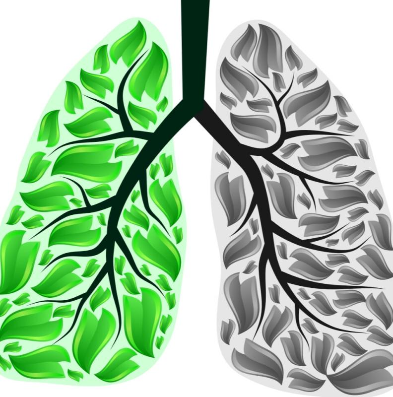 Неделя отказа от табака Неделя отказа от табака