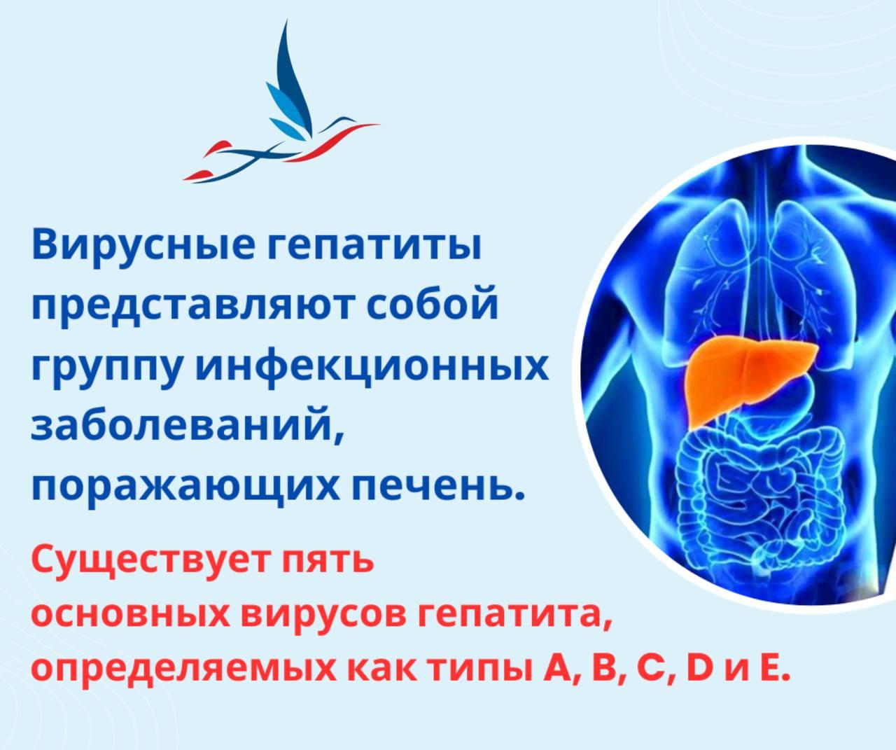 Существует пять основных вирусов гепатита, определяемых как типы A, B, C, D и E.