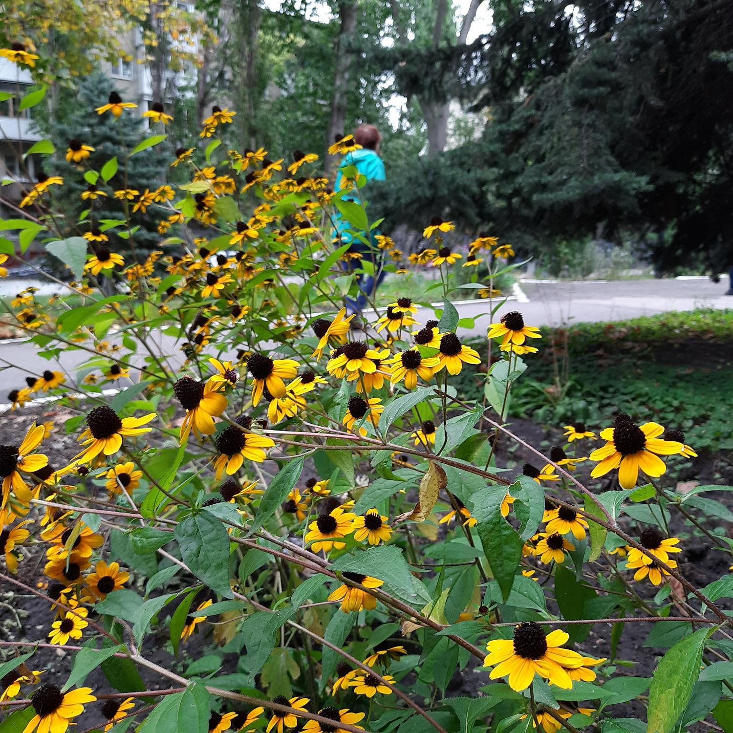 В подразделениях кардиодиспансера провели осенний субботник