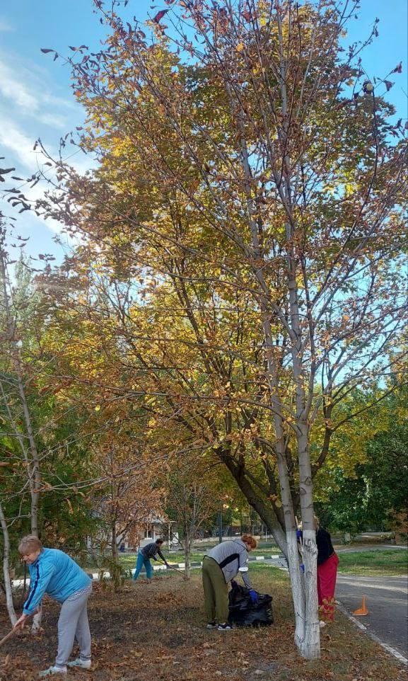 Сотрудники ГУЗ «ОККД» провели субботник, в ходе которого мы совместными усилиями привели в порядок территорию вокруг учреждения. Все участники мероприятия проявили активность и энтузиазм. Мы уверены, что подобные акции способствуют не только улучшению ...