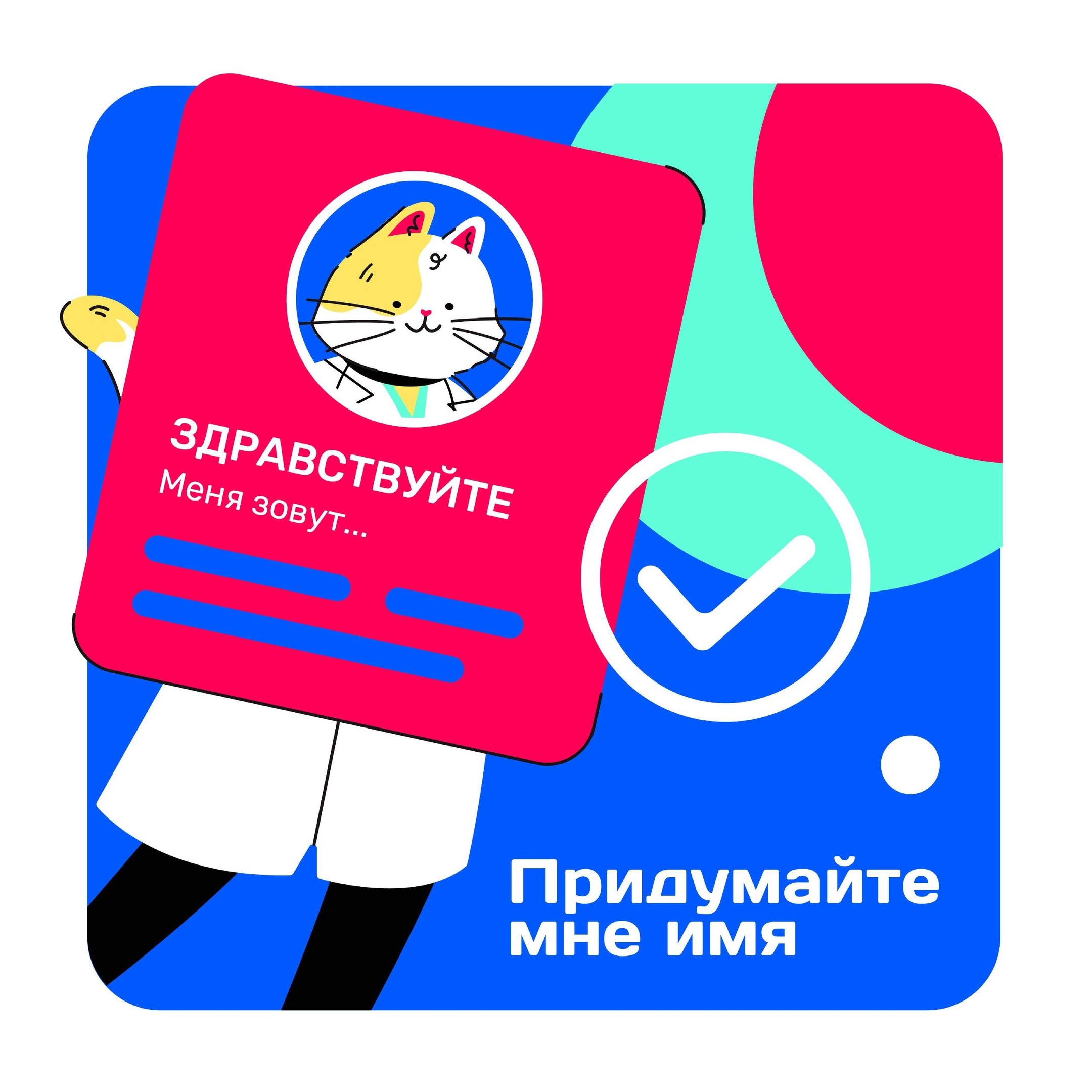 Завершается конкурс на выбор имени нашему Котику! Завершается конкурс на выбор имени нашему Котику!