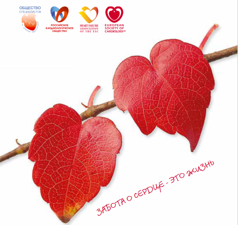 Сердечная недостаточность. Методическое пособие для пациента Сердечная недостаточность. Методическое пособие для пациента