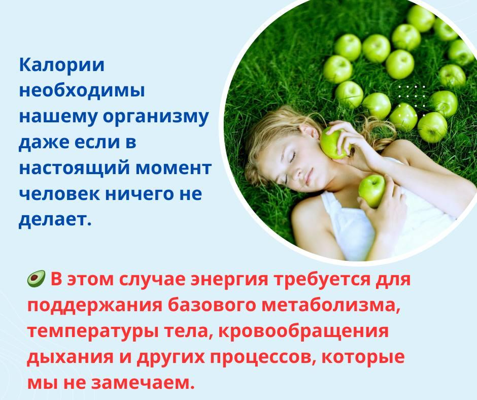 В современном, крайне динамичном мире люди хотят оставаться энергичными, здоровыми и продуктивными. 