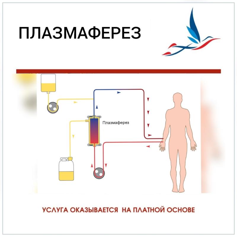 Плазмаферез картинки для презентации