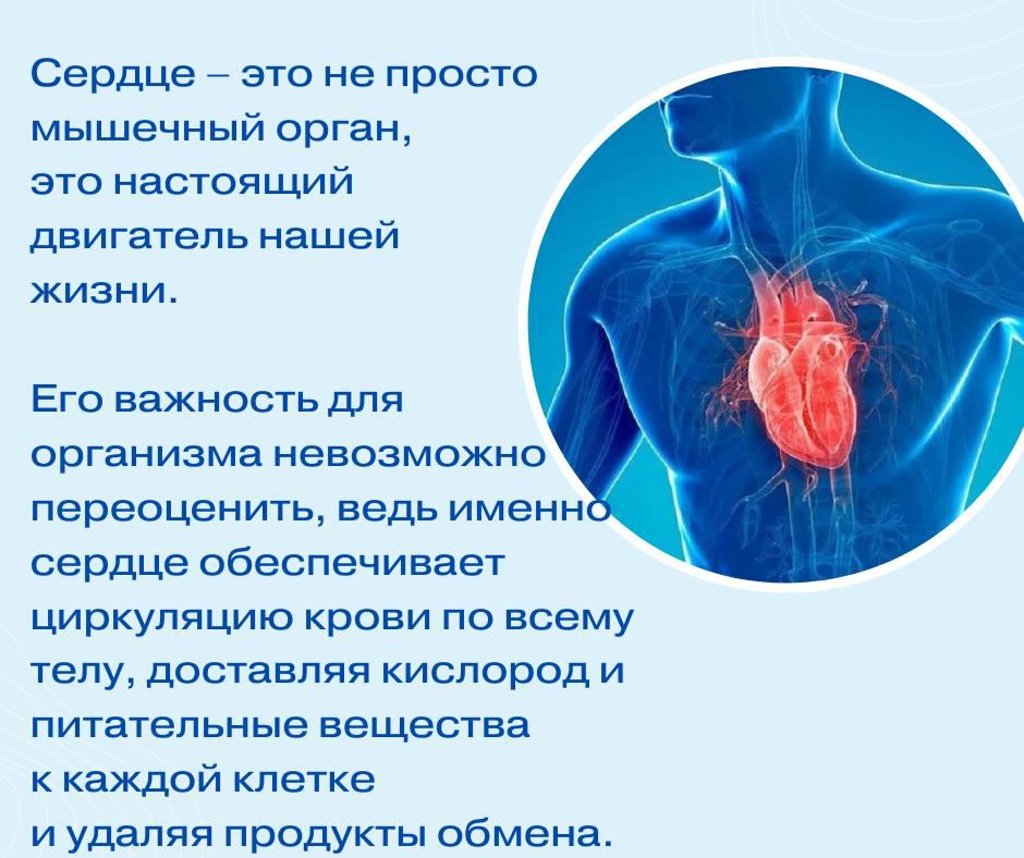 Сердечно-сосудистые заболевания (ССЗ) — одна из ведущих причин смертности во всём мире.