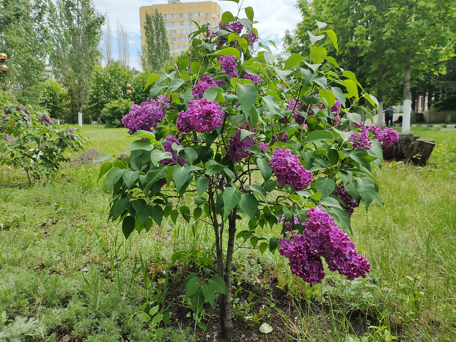 В кардиодиспансере состоялись праздничные мероприятия в честь Великой Победы В кардиодиспансере состоялись праздничные мероприятия в честь Великой Победы